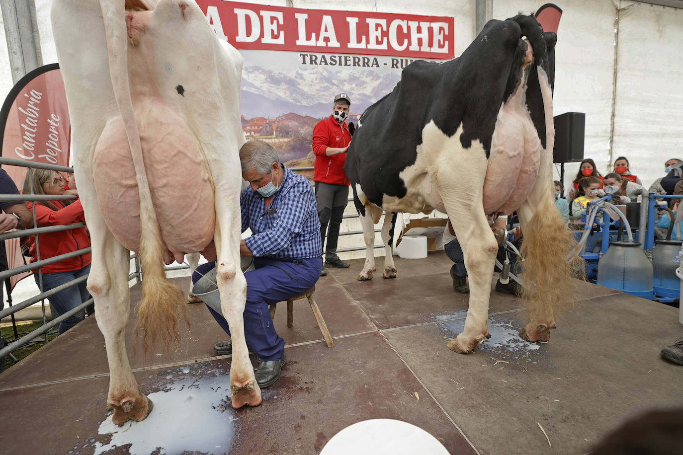 El evento, que se ha recuperado tras un año sin celebrarse, atrajo la atención de numerosas familias,