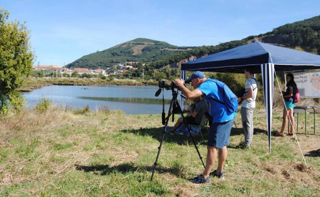 Puesto de observación de aves en las Marismas de Santoña.