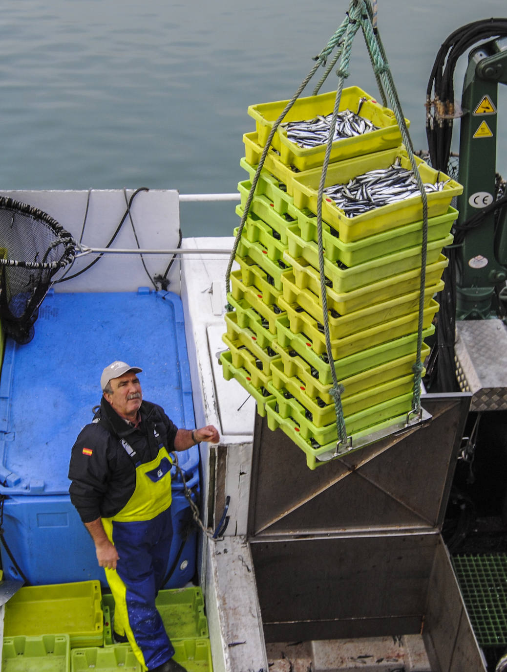 Fotos: La flota desembarca los primeros bocartes