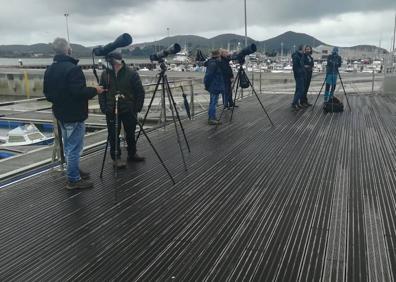 Imagen secundaria 1 - Ornitólogos ayer captando imágenes del búho en Santoña.