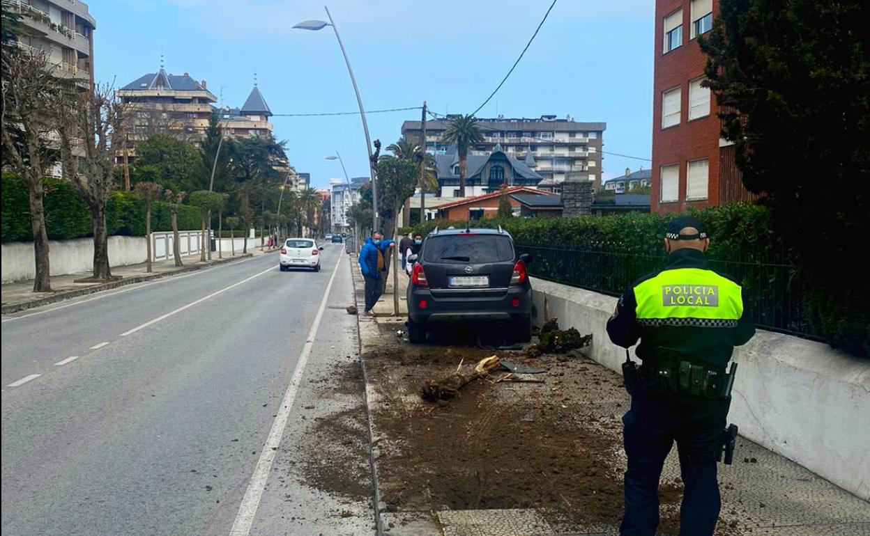 Un coche pierde el control y choca contra un árbol en un paseo de Castro Urdiales