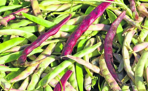 Las habichuelas, un plato de cuchara ideal para cualquier día del año