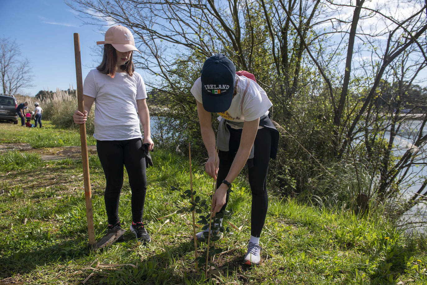 Fotos: Reforestación en común