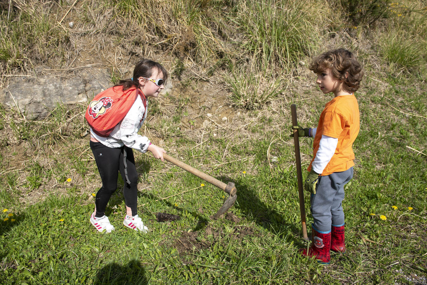 Fotos: Reforestación en común