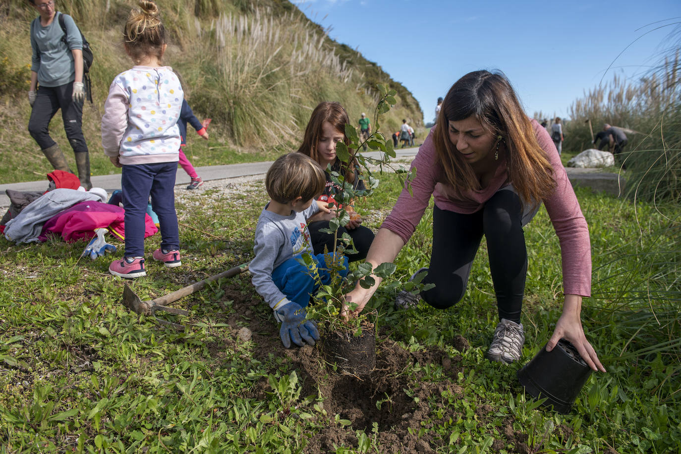 Fotos: Reforestación en común