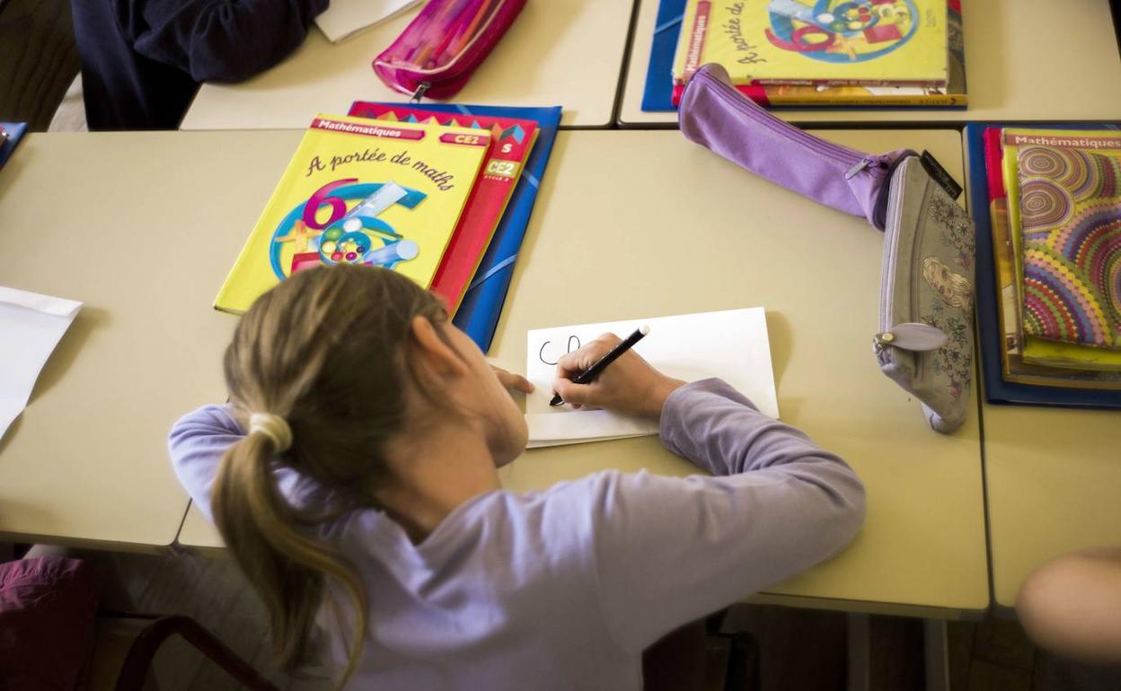 500 alumnos de Infantil y Primaria participan en el concurso '¿Qué es la igualdad para ti?'