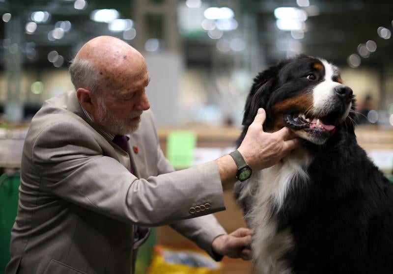 El Cruft Dog Show de Birmingham, la exposición canina más grande del mundo, se ha vuelto a celebrar este 2022 tras la pandemia.