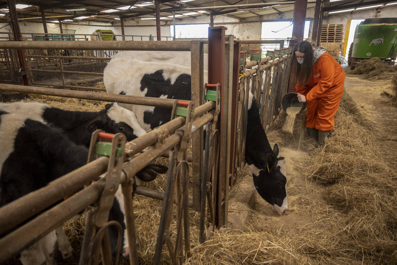 Fotos: El Centro Integrado de Formación Profesional de Medio Cudeyo cuenta con 80 alumnos en ciclos del sector agropecuario