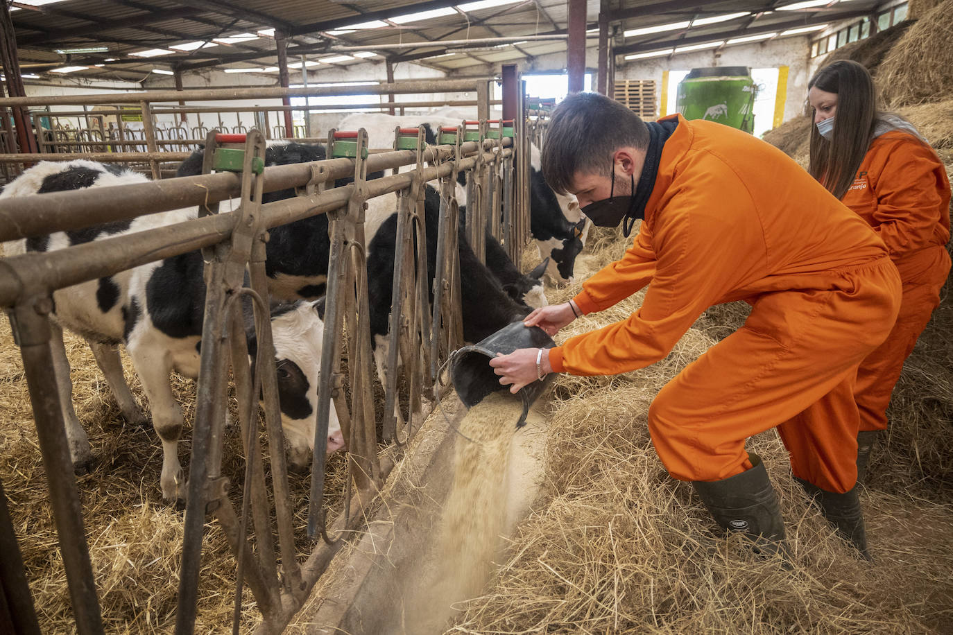 Fotos: El Centro Integrado de Formación Profesional de Medio Cudeyo cuenta con 80 alumnos en ciclos del sector agropecuario