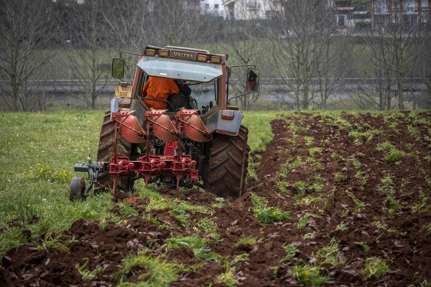 Fotos: El Centro Integrado de Formación Profesional de Medio Cudeyo cuenta con 80 alumnos en ciclos del sector agropecuario