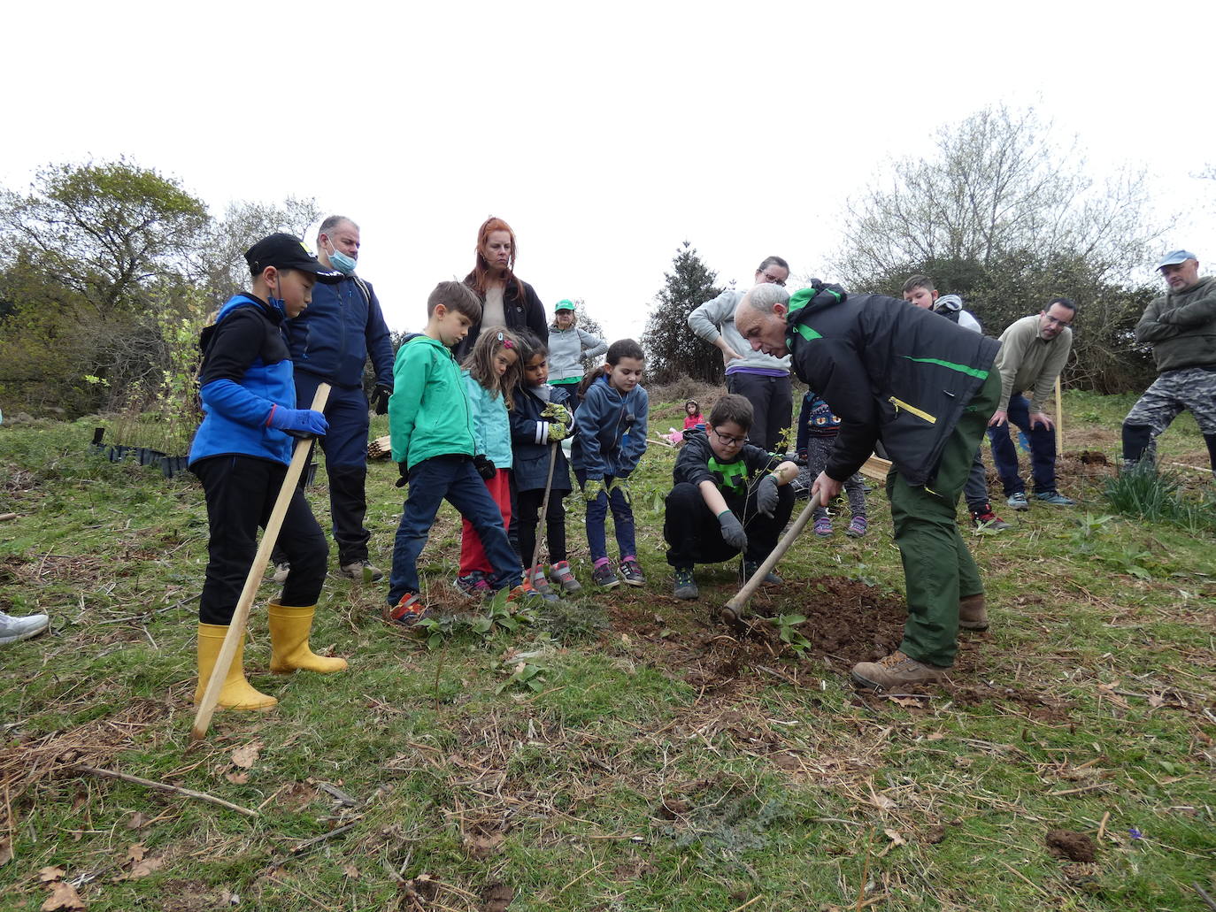 Fotos: Más de 80 voluntarios han participado en Colindres en la plantación de 200 árboles de distintas especies para conmemorar el Día del Árbol