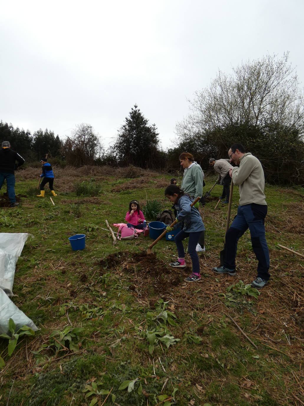 Fotos: Más de 80 voluntarios han participado en Colindres en la plantación de 200 árboles de distintas especies para conmemorar el Día del Árbol