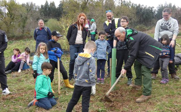 Imagen. Para emular la diversidad de la propia naturaleza, cada plantación ha seguido el mismo patrón.