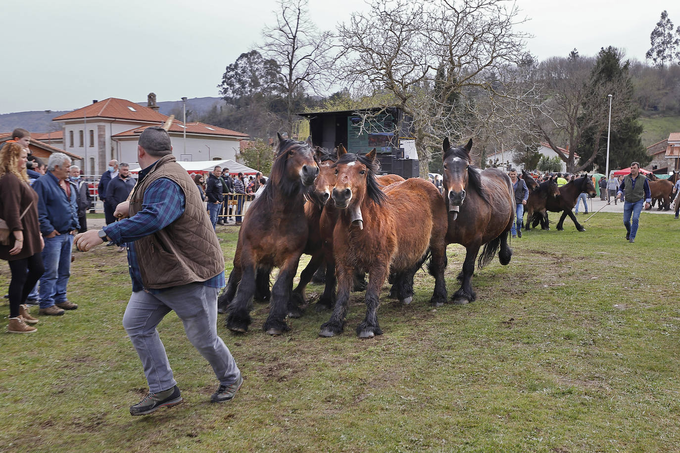 Fotos: El I Concurso Morfológico Regional de Ganado Equino de Raza Hispano-Bretona de Ruente se salda con éxito de afluencia y buen tiempo