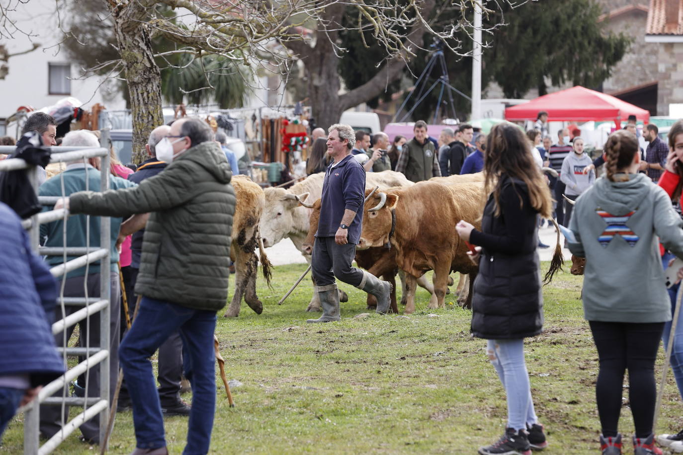 Fotos: El I Concurso Morfológico Regional de Ganado Equino de Raza Hispano-Bretona de Ruente se salda con éxito de afluencia y buen tiempo