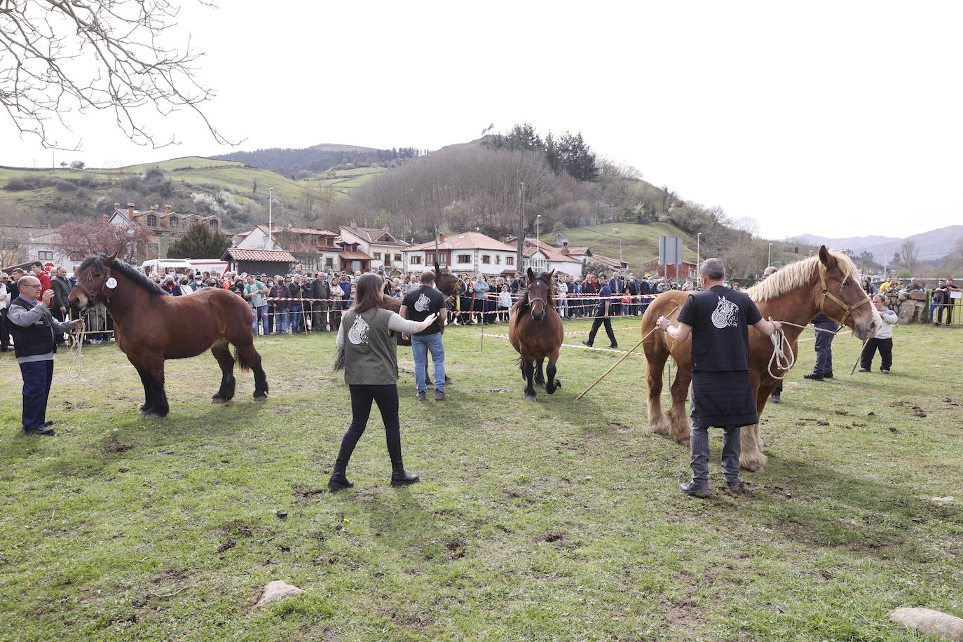 Fotos: El I Concurso Morfológico Regional de Ganado Equino de Raza Hispano-Bretona de Ruente se salda con éxito de afluencia y buen tiempo