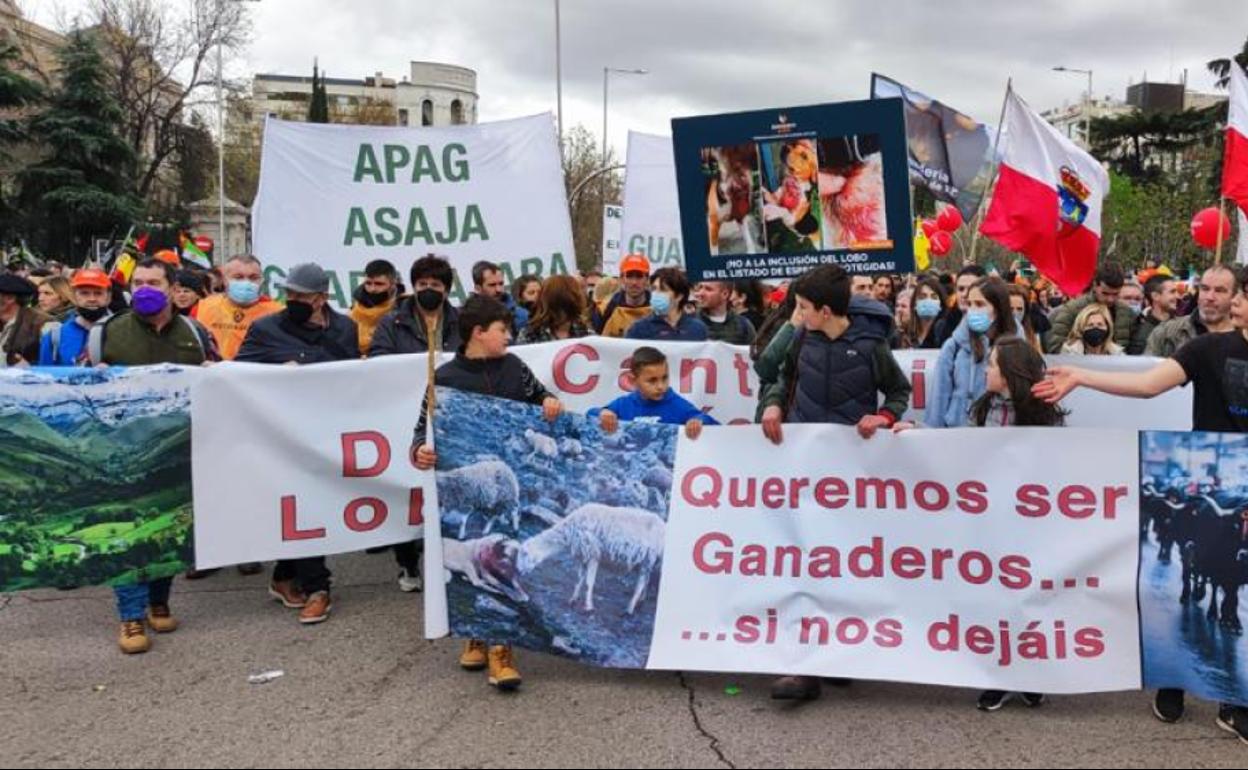 Miles de cántabros se han desplazado hasta la protesta histórica en Madrid.