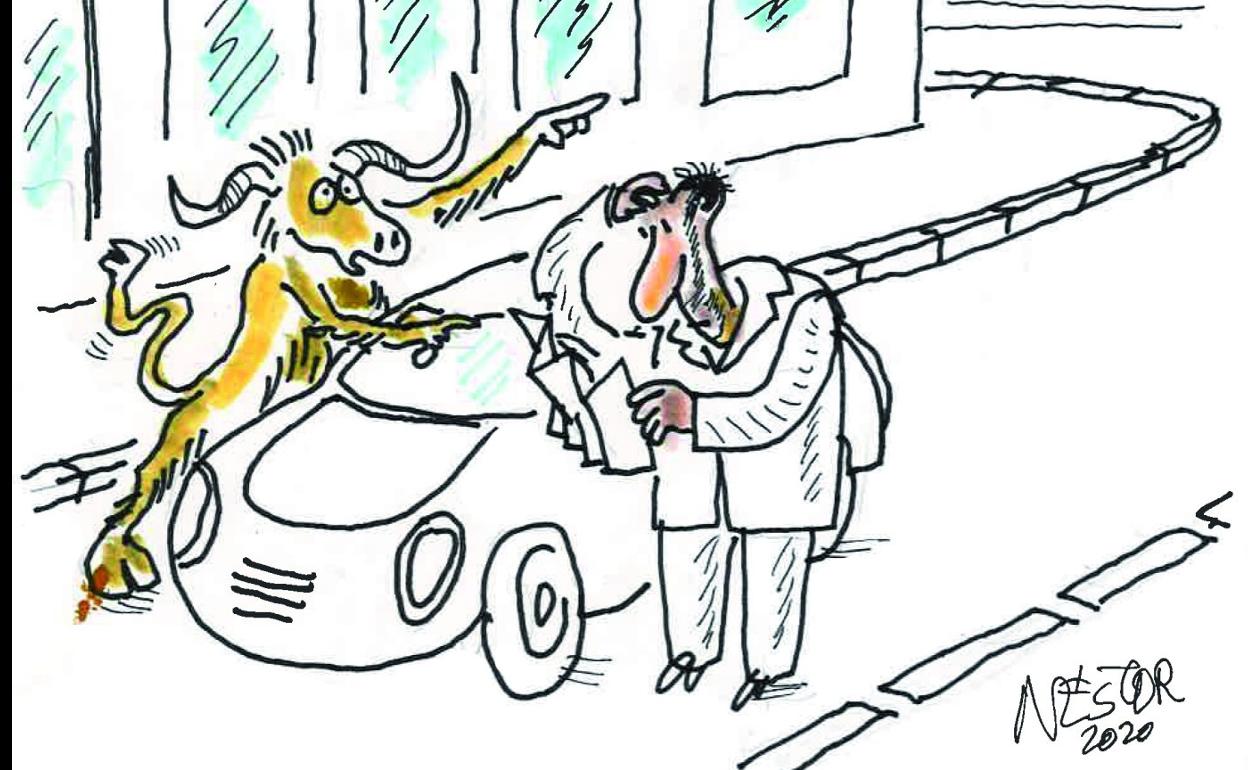 Falta un minotauro en Nueva Montaña