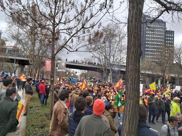 Fotos: Más de cuatro mil cántabros se suman en Madrid al clamor en defensa del mundo rural