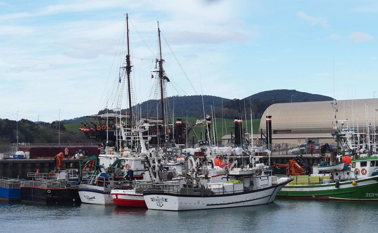 La flota amarrada en el puerto de Santoña. 