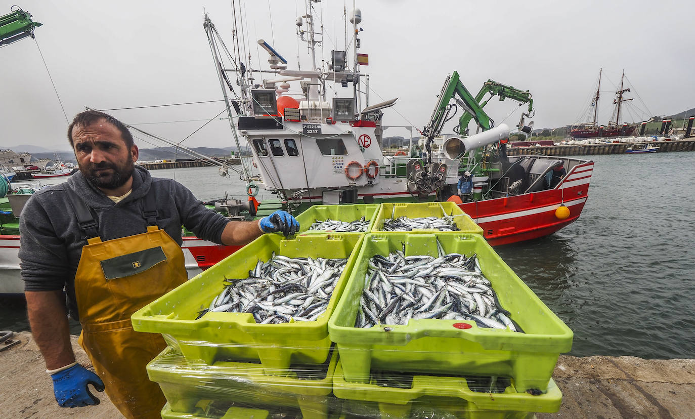 Los barcos de pesca de Cantabria han regresado este lunes a faenar.