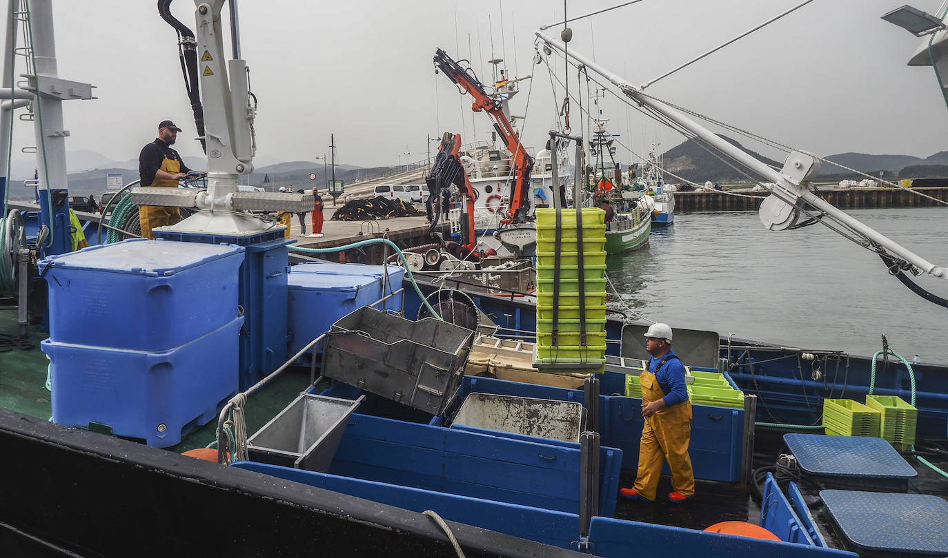 Los barcos de pesca de Cantabria han regresado este lunes a faenar.