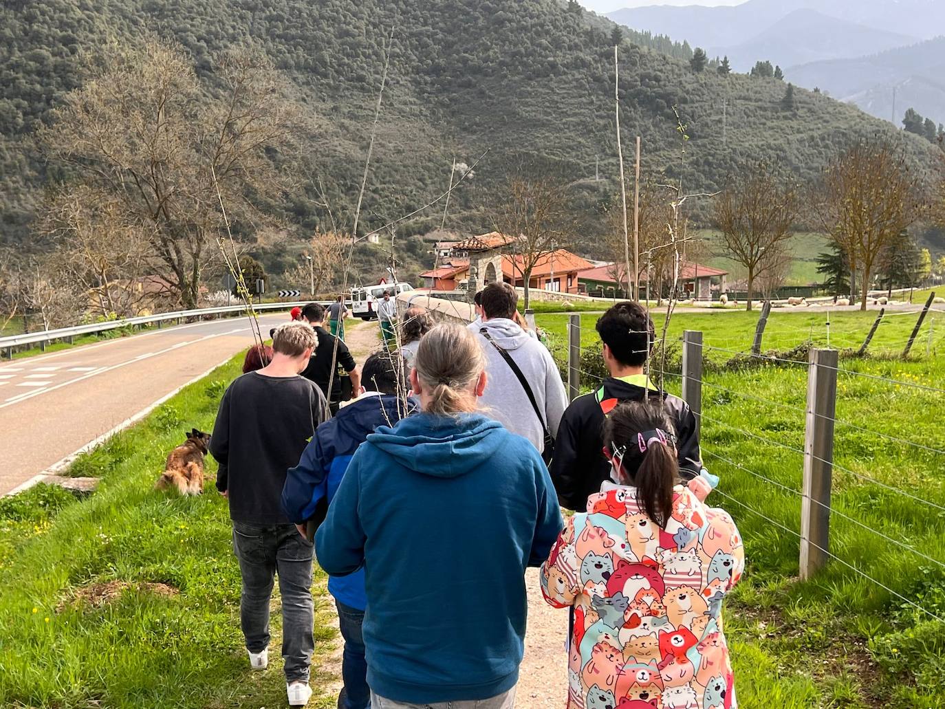 Fotos: Plantación de especies autóctonas en el Camino Lebaniego