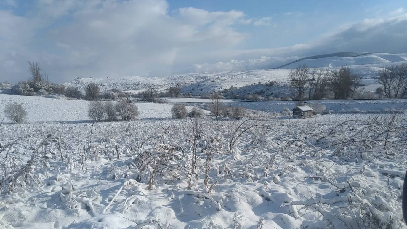 Campos totalmente nevados en Rebolledo (Valdeolea).