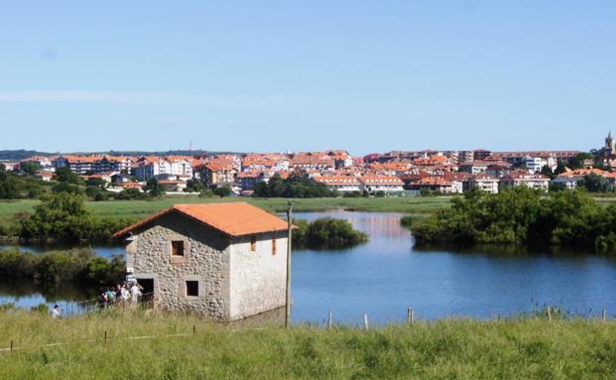 El Molino de la Aves de la marisma Victoria.