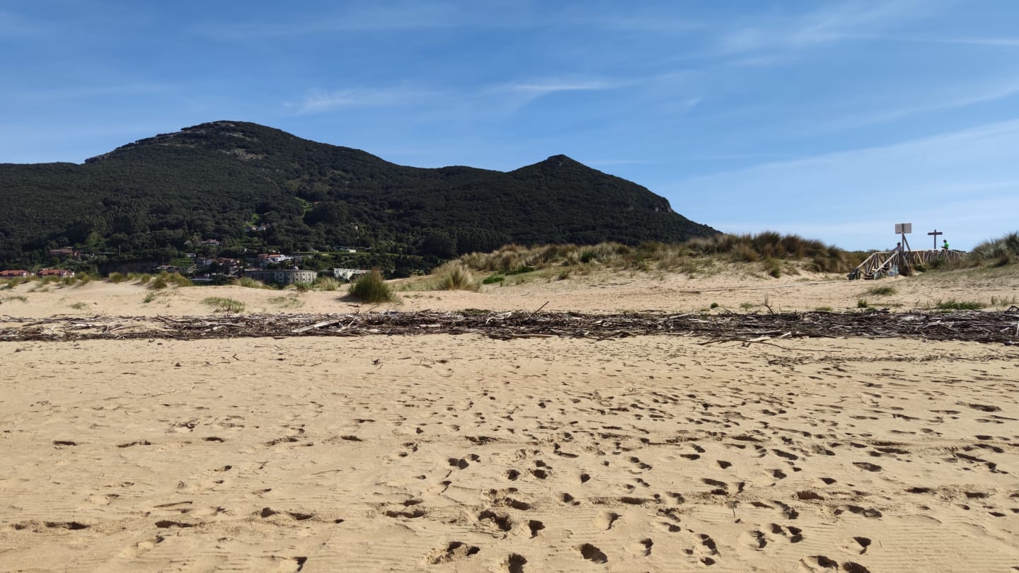 A las seis de la mañana de hoy, miércoles, trabajadores de la empresa FCC han dado comienzo a las tareas de limpieza manual y de mantenimiento de la playa Salvé. Se trata de una intervención incluida en las diez actuaciones a desarrollar durante los meses de octubre de 2021 a junio de 2022, tal y como se recoge en el pliego técnico de prestación de servicio actualmente vigente, dentro del apartado denominado 'fuera de temporada'. 