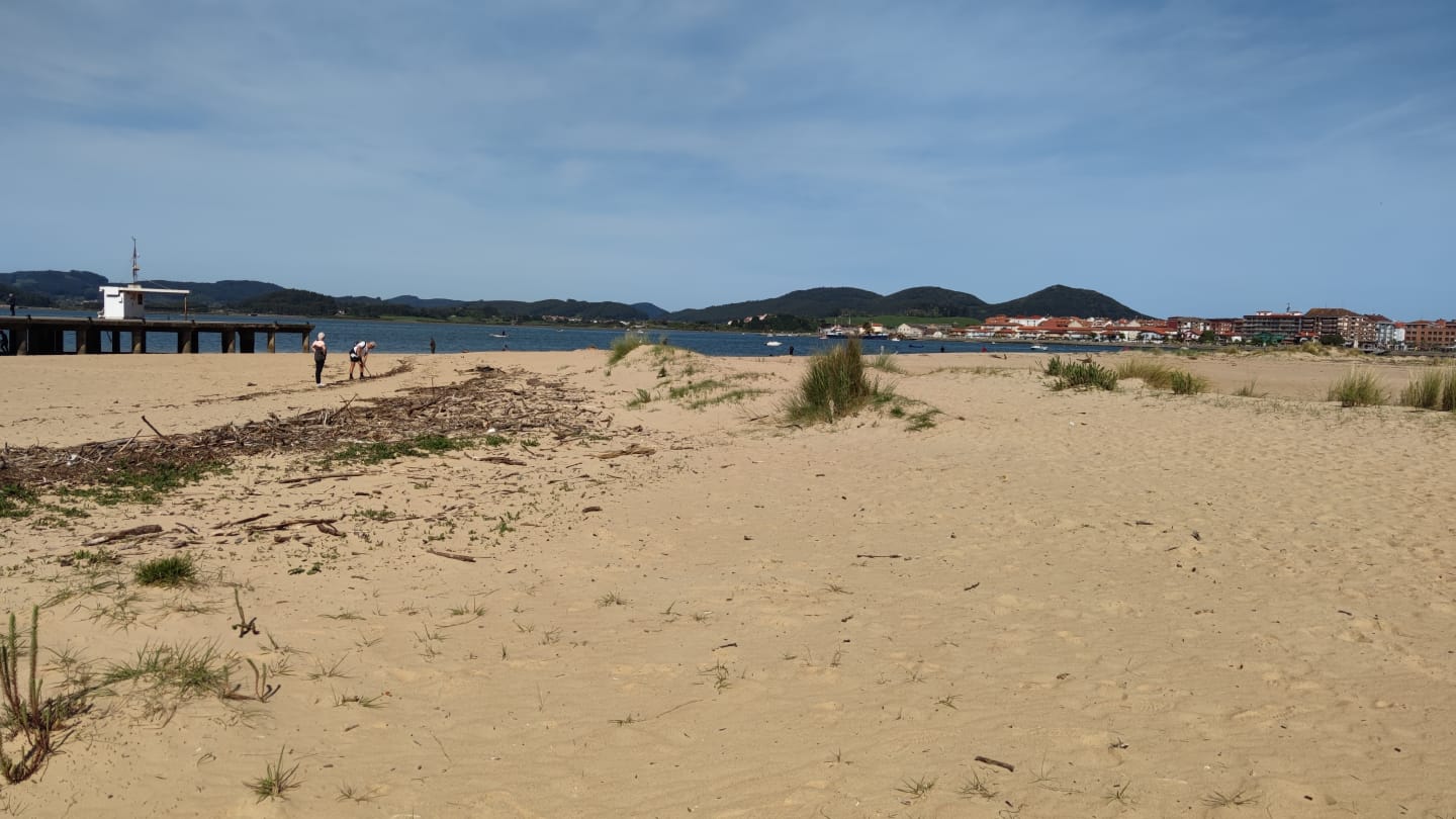 A las seis de la mañana de hoy, miércoles, trabajadores de la empresa FCC han dado comienzo a las tareas de limpieza manual y de mantenimiento de la playa Salvé. Se trata de una intervención incluida en las diez actuaciones a desarrollar durante los meses de octubre de 2021 a junio de 2022, tal y como se recoge en el pliego técnico de prestación de servicio actualmente vigente, dentro del apartado denominado 'fuera de temporada'. 