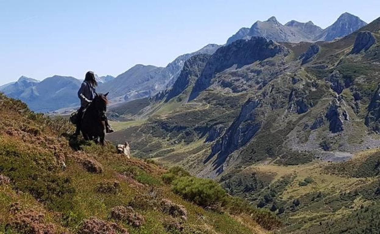 Rutas a caballo por la montaña recorriendo el Parque de Redes | El Diario  Montañés