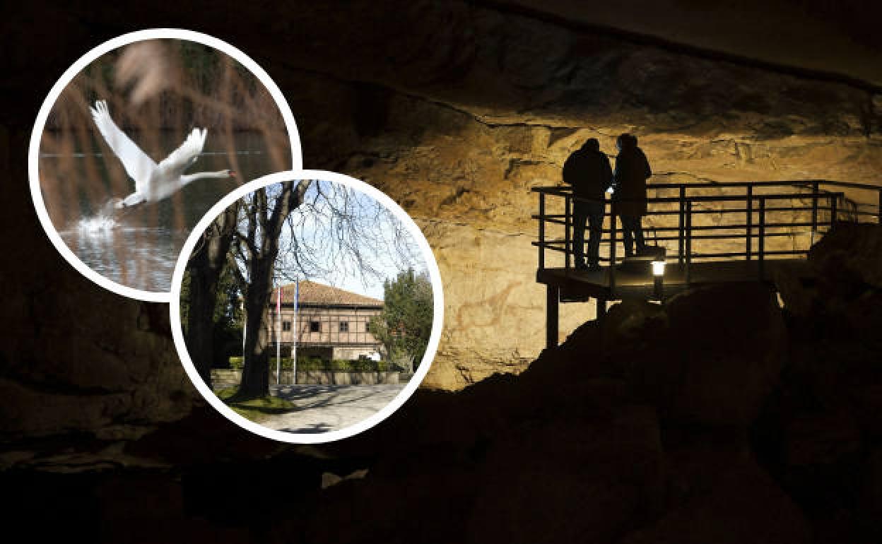 La cueva prehistórica El Pendo, la Marisma de Alday y el Museo Etnográfico de Cantabria entre los planes del fin de semana en Camargo. 