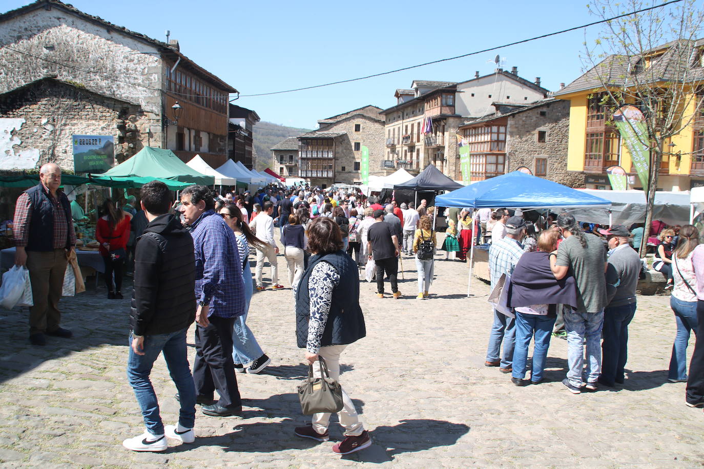 Fotos: Las enfermeras, embajadoras de la Gran Fiesta del Sobao Pasiego y la Quesada