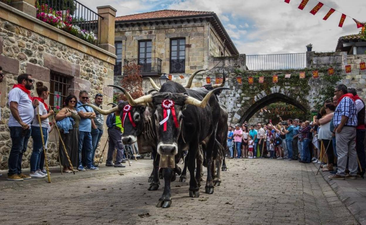 Pasada tudanca por el Camino Real de Cartes.