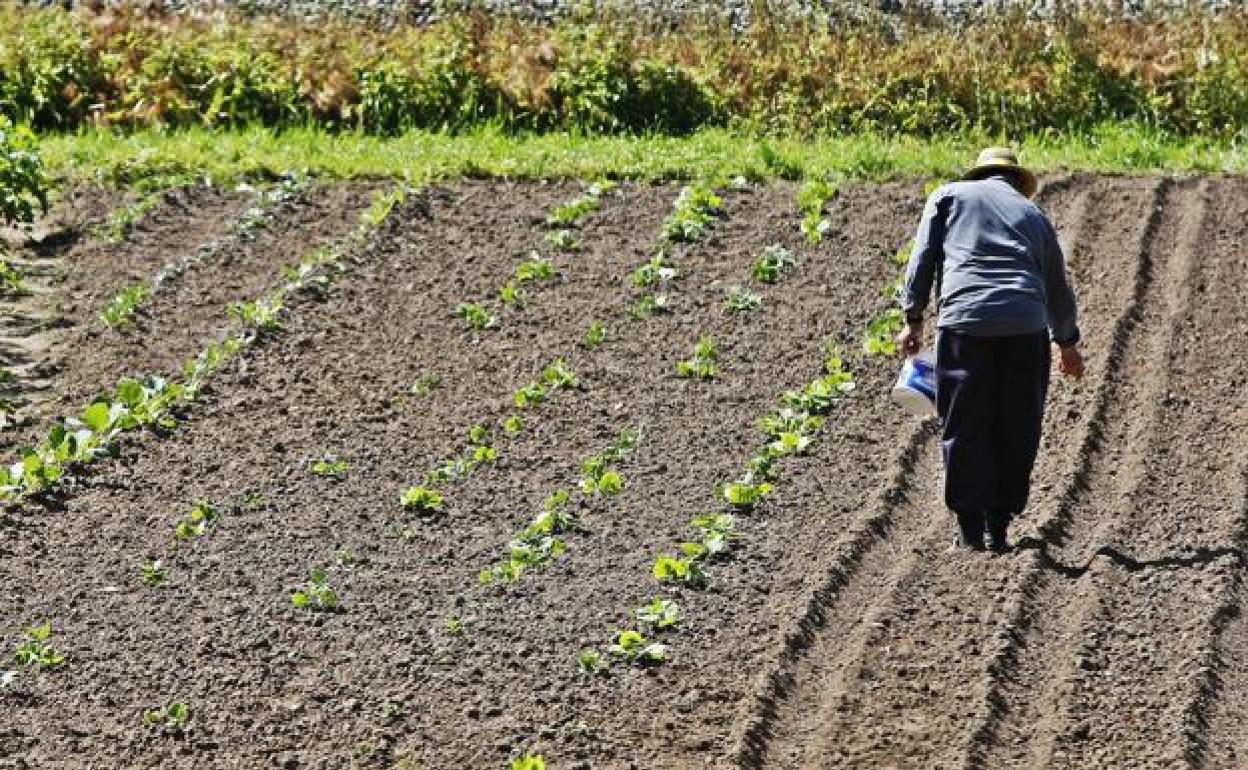 Limpias acogerá el próximo miércoles un encuentro sobre la violencia de género en el mundo rural