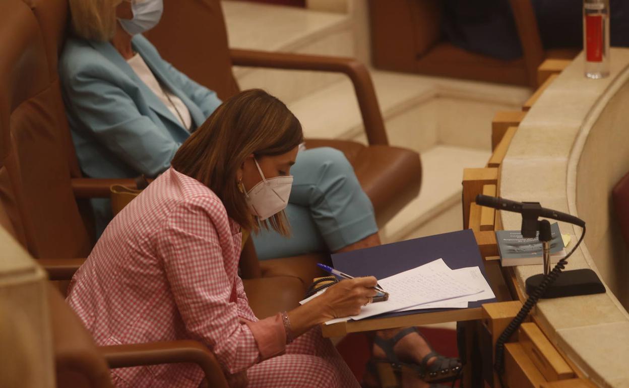 La consejera Paula Fernánedez durante un pleno