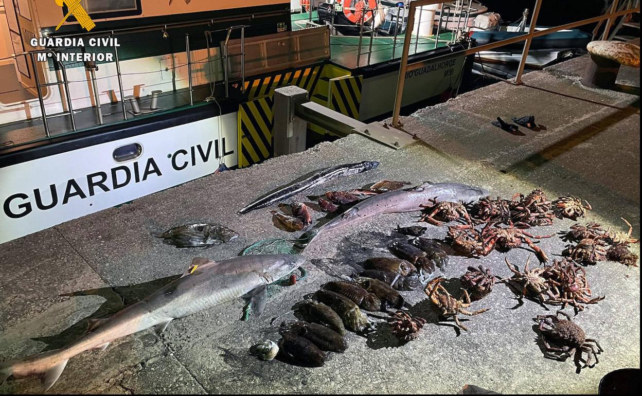 Intervenida en Val de San Vicente una gran red para la pesca furtiva con marrajos, centollos y cachones