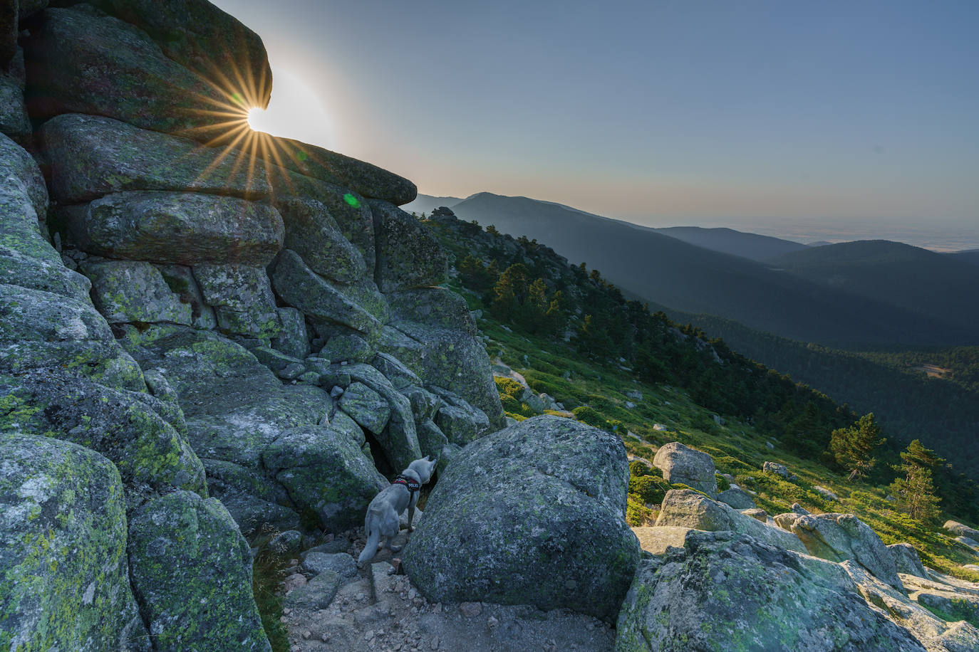 Trail running en el Camino Schmidt del puerto de Navacerrada, Madrid