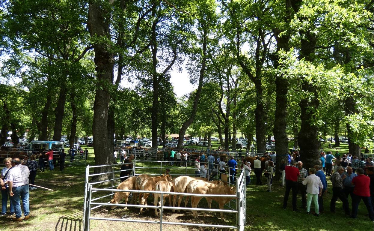 El Valle de Soba se vuelca con su fiesta de San Isidro