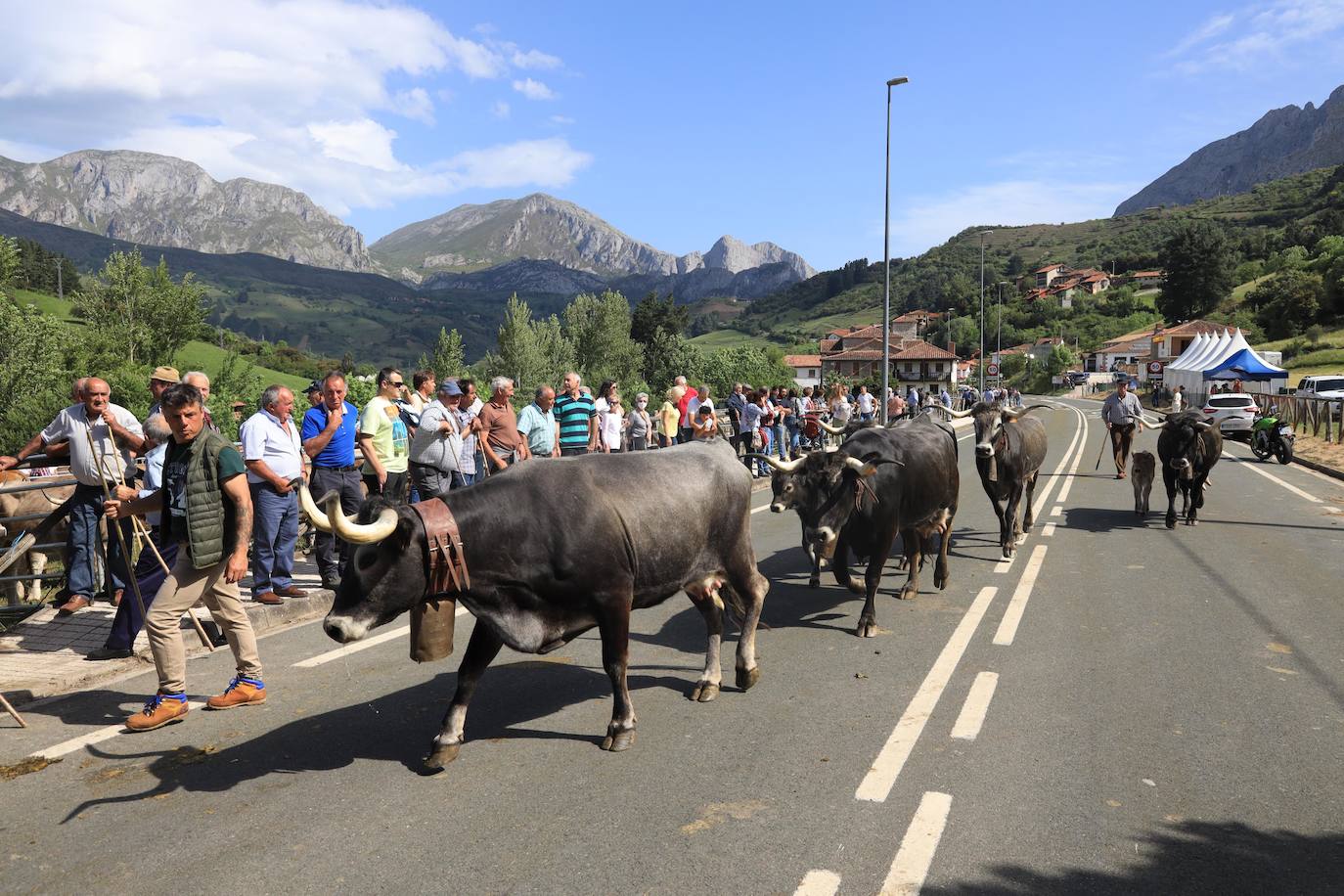 Fotos: Liébana celebra San Isidro