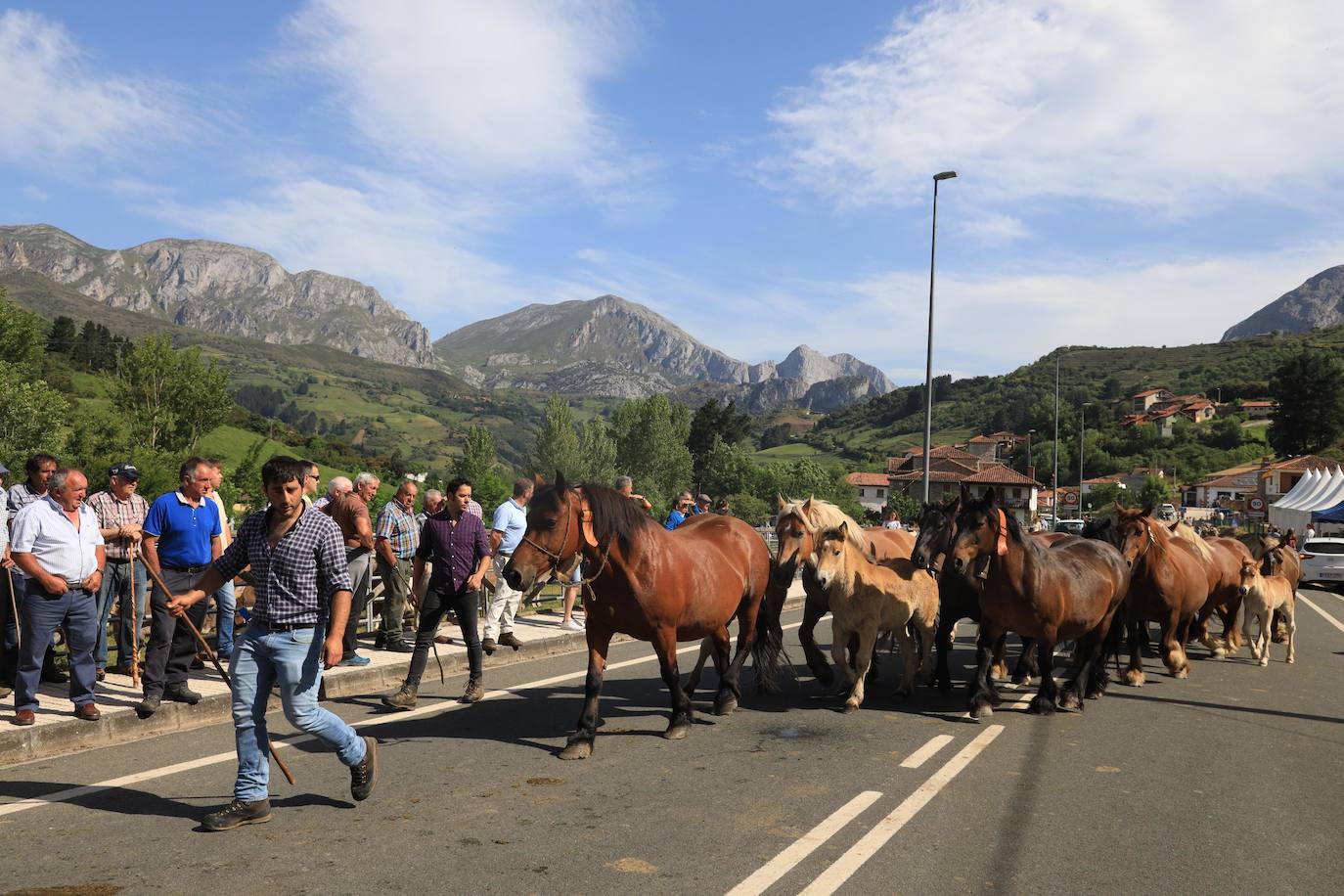 Fotos: Liébana celebra San Isidro