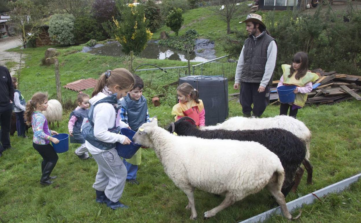 Los niños podrán conocer de cerca a ovejas, cabras y conejos entre otros animales 