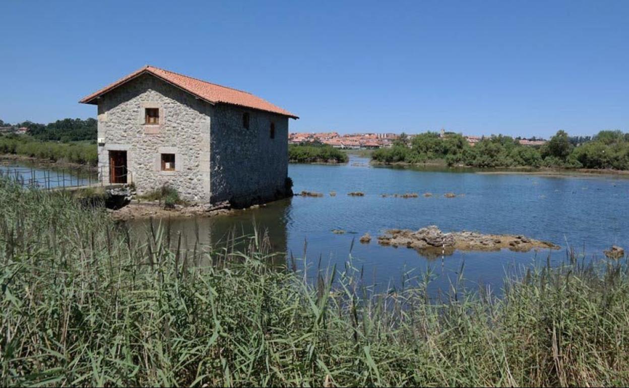 El Molino de las Aves será uno de los puestos de observación. 