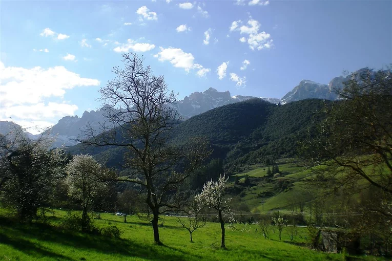 Fotos: La Isla Picos de Europa de Turieno, en el top de campings de montaña de España