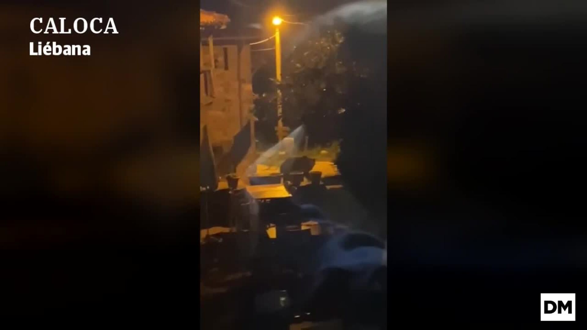 Un oso por las calles de Caloca (Liébana)