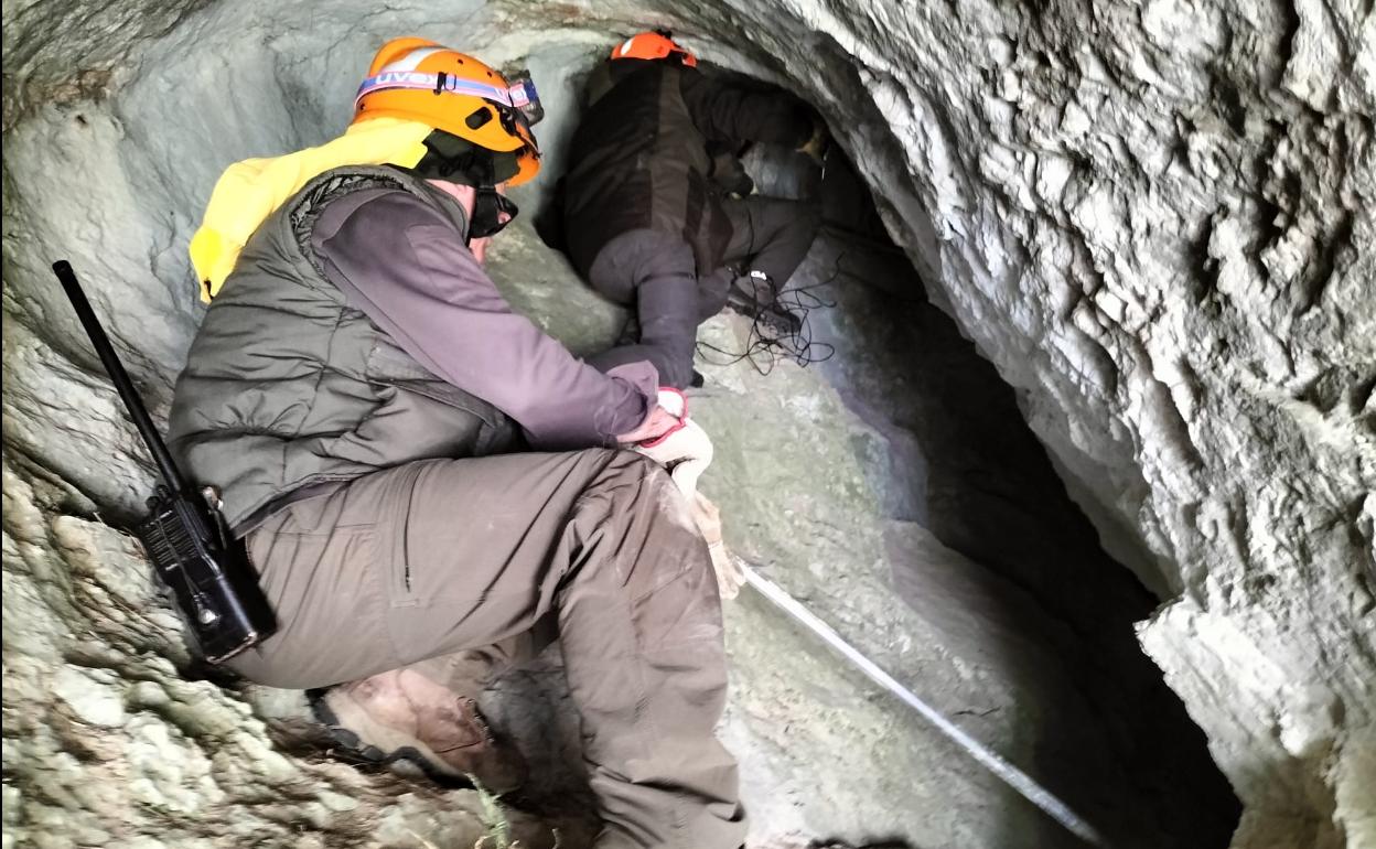 Los agentes medioambientales intentando acceder al interior de la cueva donde se encuentra la osa herida con su osezno.