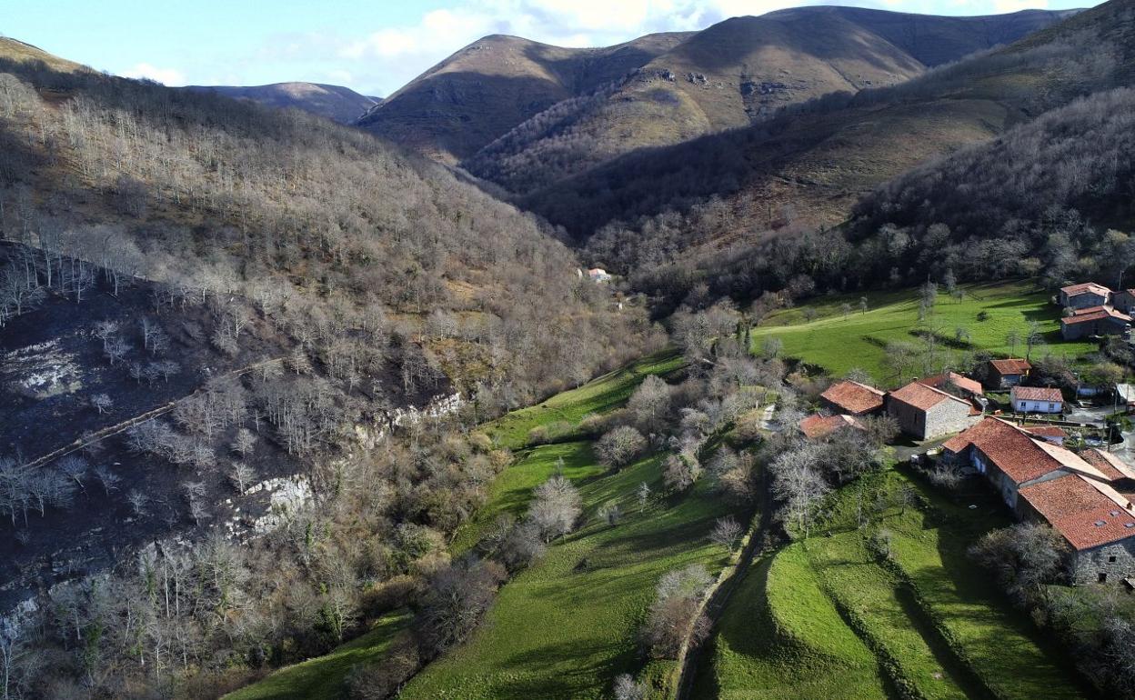 Imagen general de la localidad de Viaña, en el municipio de Cabuérniga.