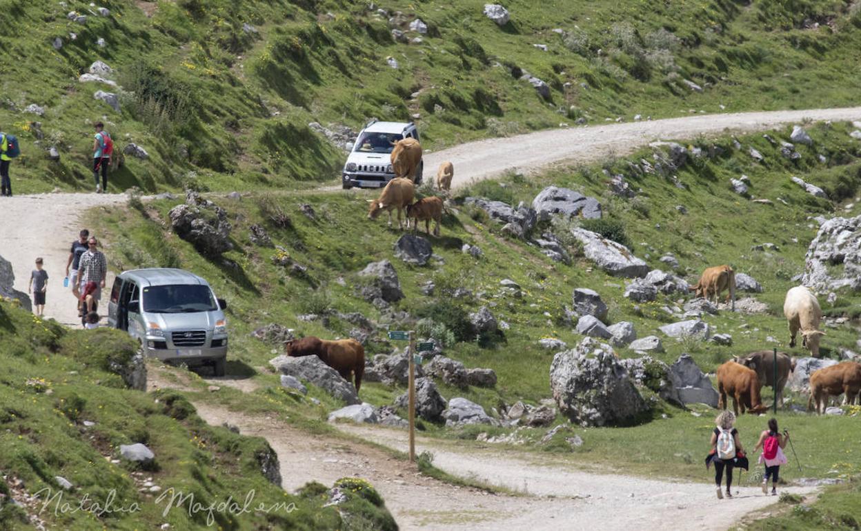 Decálogo de buenas prácticas de senderismo para 'urbanitas' y 'ruralitas'