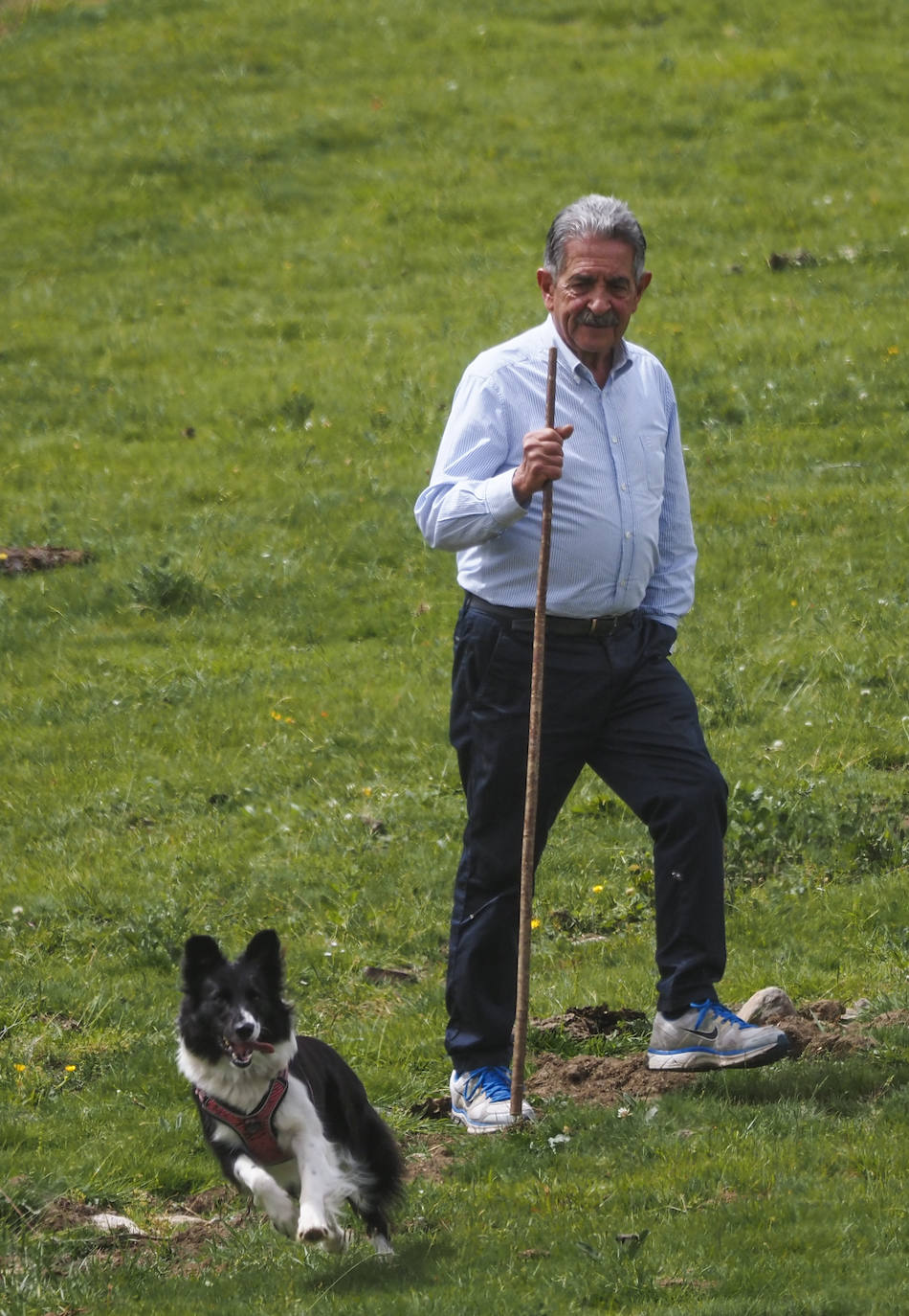 Miguel Ángel Revilla en los campos de Sejos. 